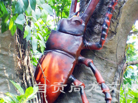 甲壳虫