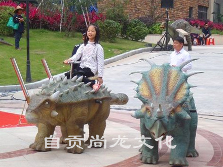 乘骑行走戟龙